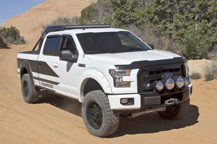 Bushwacker F150