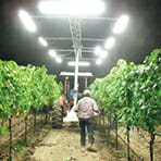 Agriculture LED Lighting